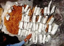 Bắt lô ngà voi tiền tỷ giấu trong bao hạt điều