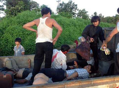 Tai nạn thảm khốc, hàng chục người thương vong