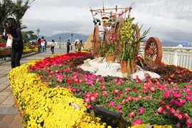 Đà Nẵng sẽ 'lột xác' thế nào dịp Tết Ất Mùi?