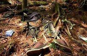 Phát hiện bộ xương người trong rừng keo