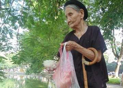 Theo chân cụ bà 92 tuổi, 60 năm nuôi cá Hồ Gươm