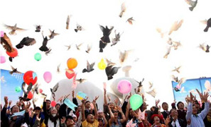 'Nếu chim hoà bình không bay được thì dân thông cảm'