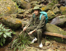 Con suối tràn ngập loài cỏ bất tử mọc trên đá ở Tây Côn Lĩnh