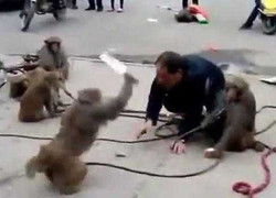 Clip: Thót tim khỉ cầm dao dọa chém người trên phố