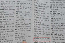 Từ điển gây sốc: Nhà xuất bản Trẻ không chối bỏ trách nhiệm