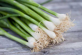 Hành lá chống ung thư, giúp quý ông sung mãn thế nào?