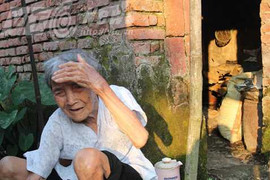 Con mải tố nhau, mẹ già sống đời chị Dậu trên mảnh đất chục tỷ