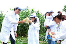 Trải nghiệm tuyệt vời ở trang trại bò sữa chuẩn quốc tế