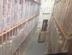 Kinh hoàng kệ hàng cao ngất đổ sập như domino