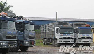 Tố công an 'bảo kê' cho doanh nghiệp: Hiệp hội Vận tải Ô tô xin lỗi