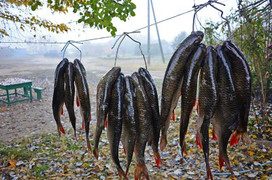 Hình ảnh tuyệt đẹp mùa câu cá ở sông Volga, Nga