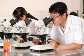 Hơn 300 nhà khoa học trẻ toàn quốc hội tụ