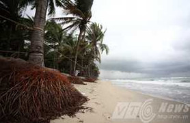 Biển Cửa Đại - Hội An sắp bị 'xóa sổ'?