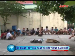 An Giang: Công an ập vào bắt gọn sới gà 'khủng'