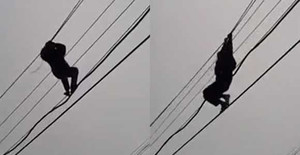 Clip: 'Ngáo đá' trút bỏ xiêm y đu dây điện