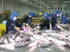 Nhập thủy sản từ Trung Quốc, nỗi lo cho thủy sản nội