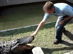 Clip: Đùa bỡn với cá sấu, nhận hậu quả nhớ đời