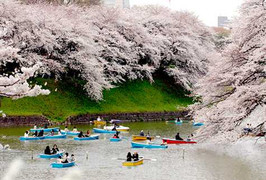 Du lịch trọn gói đi Nhật cực rẻ