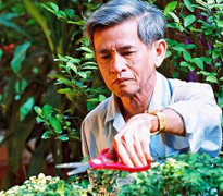 Vĩnh biệt ông - nét hào hoa xứ Quảng!