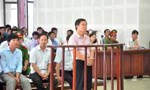 Buôn lậu gỗ, hàng loạt cán bộ hải quan hầu tòa