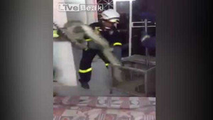 Kinh hãi trăn dài 5 mét nấp dưới gầm giường