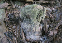 Chiếc sọ linh thiêng trong ngôi miếu ở bản Xuồng