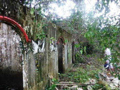 Bí ẩn đại gia vung chục tỷ xây nghĩa địa cho thú nuôi