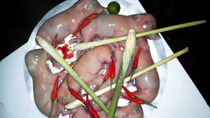 ‘Dị nhân’ ở Thanh Hóa nghiện món... chuột bao tử