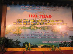 Lỗi ngữ pháp tiếng Anh tại hội thảo quốc tế