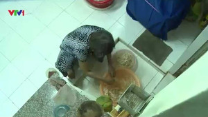 Clip: Màn biểu diễn đỉnh cao của kỹ năng off-road