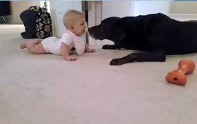 Liều lĩnh tự chế đăng ký trước bạ ô tô giá rẻ