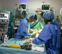 Cứu sống người tim ngừng đập