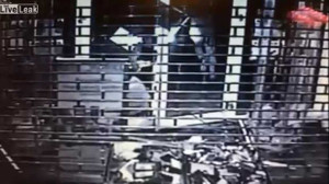 Tên trộm ngu ngốc tự đâm xe vào đồng bọn