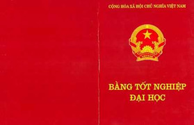 Ngừng bổ nhiệm Phó Chánh thanh tra chưa có bằng đại học