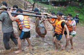 Clip: Thót tim rà phá quả bom nặng 300kg