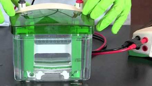 Nghi án hối lộ quan chức Y tế: 30 đơn vị mua sản phẩm hãng Bio-Rad