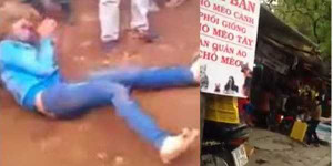 Hà Nội: Cô gái trộm chó bị đánh bầm dập