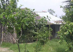 Chuyện bi hài ở Kiên Giang: Chị bỏ trốn sau cưới, nhà gái đền... cô em