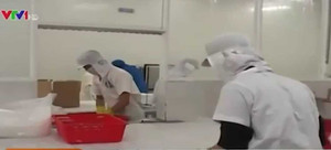 Phát hiện kháng sinh cấm trong cá tra của Việt Nam