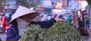 Giật mình tác hại của cây chữa bệnh nan y