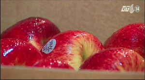 Mẹo phân biệt táo Trung Quốc 'đội lốt' táo Úc, Mỹ, New Zealand