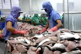 Việt Nam không bán phá giá filet cá tra, cá ba sa vào Hoa Kỳ