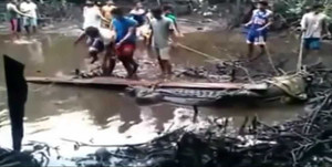 Clip: Hàng chục người vây bắt cá sấu 'khổng lồ'