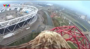 Mãn nhãn toàn cảnh thành phố từ đôi cánh đại bàng