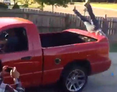 Người lớn sơ ý, trẻ con ngã lộn cổ từ thùng xe