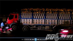 Thanh tra giao thông ‘bắt nóng’ 2 xe có trọng tải 'khủng'