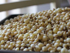 Rắn lục đuôi đỏ vào nhà dân, củ nén lên giá kỷ lục