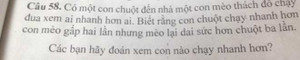 Bài toán 'mèo và chuột thi chạy' khiến người lớn cũng bó tay