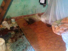 Sát hại vợ rồi mang con bỏ trốn về quê