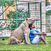 Đại gia kể chuyện dốc bạc tỷ nuôi mãnh thú